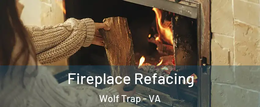 Fireplace Refacing Wolf Trap - VA