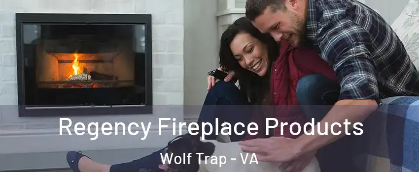  Regency Fireplace Products Wolf Trap - VA